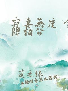 宠妻无度  金牌相公