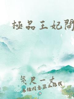 极品王妃闹王府