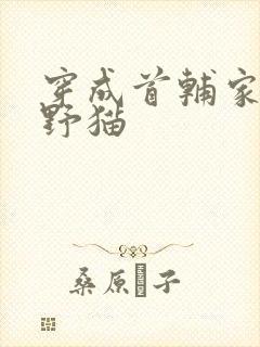 穿成首辅家的小野猫