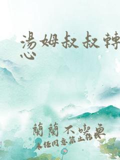 汤姆叔叔转入中心