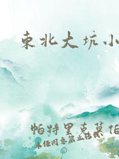 东北大坑小说