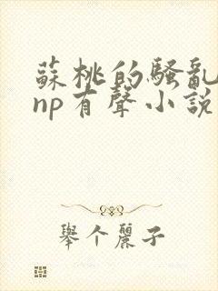 苏桃的骚乱文肉np有声小说