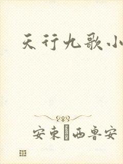 天行九歌小说