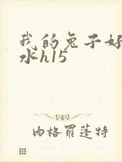 我的兔子好多软水h15