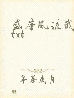 盛唐风流武状元txt