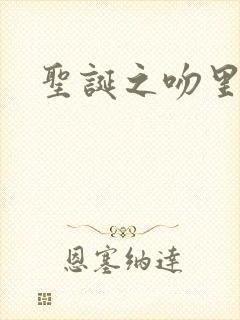 圣诞之吻里沙篇