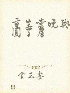 重生当晚与军夫圆了房