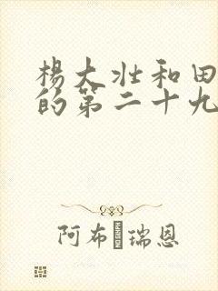 杨大壮和田桂花的第二十九