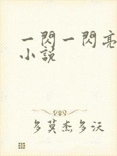 一闪一闪亮星星小说