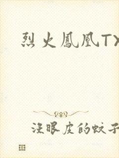 烈火凤凰TXT