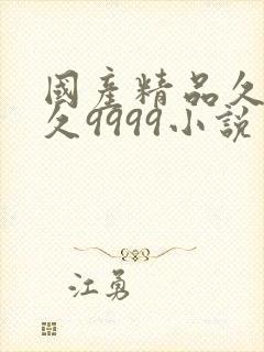 国产精品久久久久9999小说