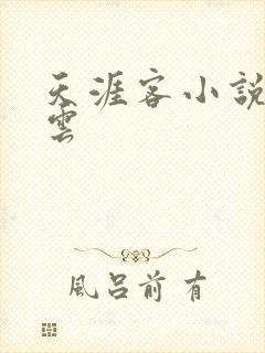 天涯客小说百度云