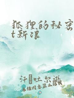 狐狸的秘密txt新浪