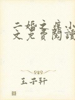 二婚之痒小说全文免费阅读