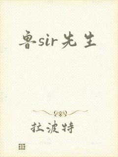 鲁sir先生