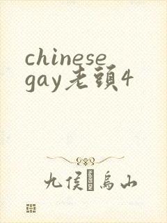 chinesegay老头4
