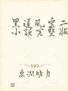 黑道风云二十年小说完整版