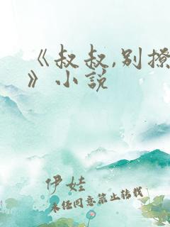 《叔叔,别撩我》小说