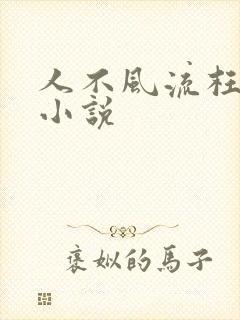 人不风流枉少年小说