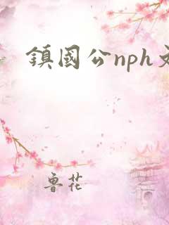 镇国公nph文