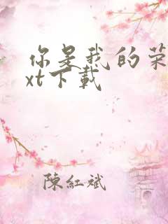 你是我的荣耀txt下载