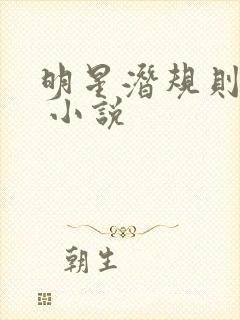 明星潜规则之皇 小说