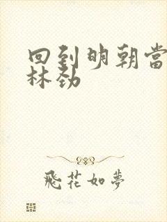 回到明朝当王爷林劲