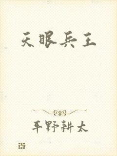 天眼兵王