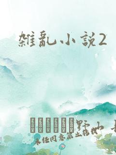 杂乱小说2