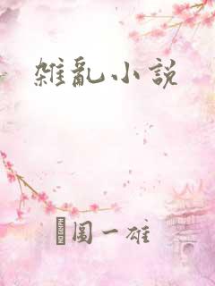 杂乱小说