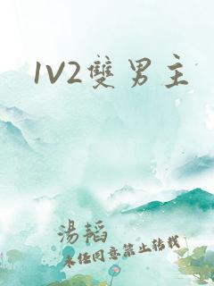 1V2双男主