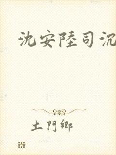 沈安陆司沉小说