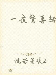 一夜惊喜结局