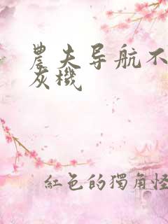 农夫导航不准打灰机