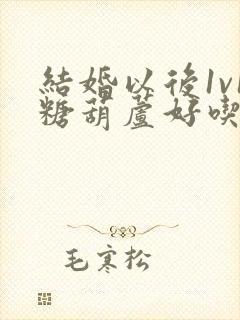 结婚以后1v1糖葫芦好吃epub