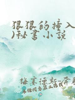 狠狠的撞入(h)秘书小说