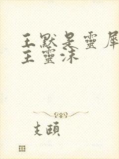 王默是灵犀阁公主灵沫