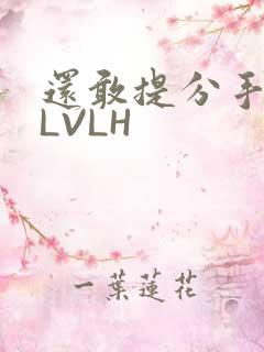 还敢提分手吗嗯LVLH