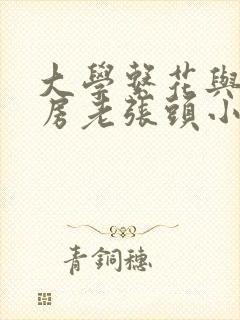 大学系花与锅炉房老张头小说