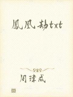 凤凰劫txt