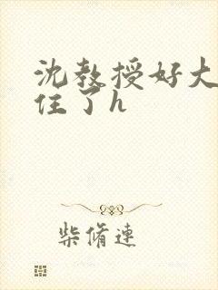 沈教授好大含不住了h