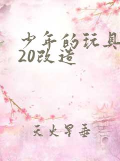 少年的玩具1一20改造