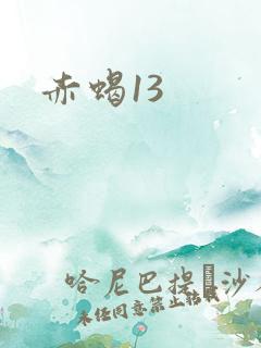 赤蝎13