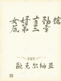 女婿有劲枪枪到底第三章