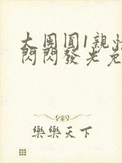 大团圆1亲情会闪闪发光免费