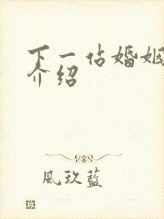 下一站婚姻剧情介绍