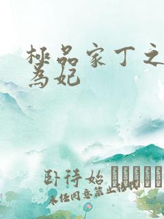 极品家丁之册母为妃