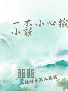 一不小心捡到爱小说