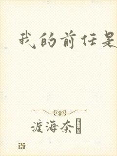 我的前任是极品