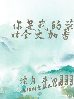 你是我的荣耀txt全文加番外